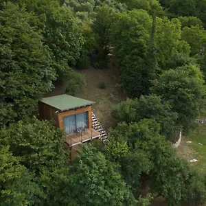 Affittacamere Tree House San Giorgio, Solagna